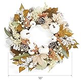 Fall Decor - Fall Wreaths for Front Door - 18 Inch Autumn Maples Leaf Pumpkin Pine Cone Berry Wreath - Fall Decorations for Thanksgiving Halloween Farmhouse Harvest Home Outdoor Indoor Window Wall