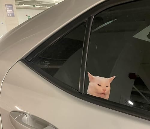 Car Styling Sticker Cute Funny Peeping Cat Head Meme Decal Auto Laptop Bike Bicycle Applique 10x7.6cm 2PCS