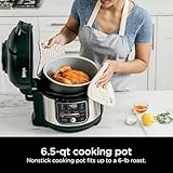 Ninja Foodi 10-in-1 Pro Pressure Cooker & Air Fryer, 6.5-Qt Multicooker with TenderCrisp Technology, Stainless Steel OS300, Nonstick, PTFE/PFOA-Free, Dishwasher Safe, Family Meals, Roast, Dehydrate