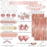 Rose Gold Birthday Party Decorations, Happy Birthday Banner, Rose Gold Fringe Curtain, Heart Star Foil Confetti Balloons, Hanging Swirls for Women Girls Birthday Princess Party