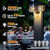 2 Pack Solar Outdoor Wall Light with 4 Free 4w Bulbs 3000K Dusk to Dawn Solar Exterior Sconces Modern Up Down Porch Light Fixtures Waterproof Patio Wall Mount Lamp for House Garage Front Door