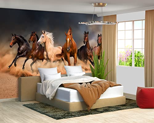 Fightal - Horse Wall murals Large Wallpaper for Living Room Bedroom (Papel tapiz para pared de habitatacion) 151" x 105" (It's not Peel and Stick)