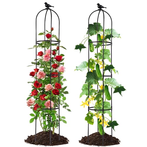 Lalahoni Garden Trellis for Climbing Plants Outdoor, 6 feet Tall Garden Obelisk Trellis Climbing Plant Support Potted Vine Flower Rose Clematis Vegetable Pea Bean Cucumber Trellis Raised Bed, 2 Pack