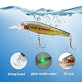 ODS Electronic Vibrating Jerkbait Luminous Minnow Rechargeable Twitching Fishing Lure for Freshwater Saltwater Bass Trout Shad