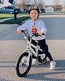 Royalbaby Freestyle Outdoor Children's Bicycle Dual Handbrakes Sporty Kid Bike with Training Wheels and Adjustable Seat, 14 Inch, White