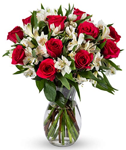 Benchmark Bouquets Signature Roses & Alstroemeria, Glass Vase Included, Gift Fresh Flowers for Valentine’s Day, Birthday, Anniversary, Get Well, Sympathy, Congratulations, Thank You, Just Because