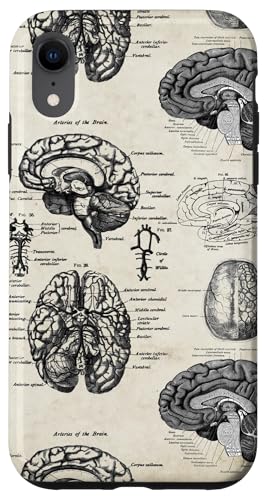 Gnosis Picture Archive iPhone XR Anatomy Brain Vintage Textbook Diagrams Neuroscience Graphic Case