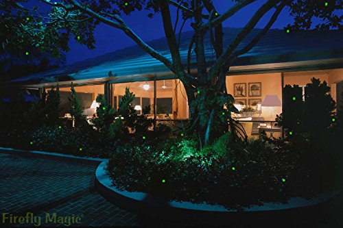 Firefly Magic Solar LED Fairy, Lightning Bug Lights…Patented to Naturally Mimic Real Fireflies