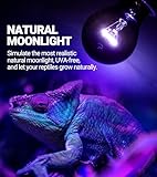 REPTI ZOO 2Pack Reptile Heat Lamp 100W Reptile Night Heat Bulb Night Heat Lamp Without UVA for Turtle Bearded Dragon Gecko Lizard and Snake E26/E27 Purple