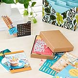 Hallmark Birthday Cards Assortment, 20 Cards with Envelopes (Refill Pack for Hallmark Card Organizer Box)