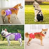 Idepet Female Dog Diapers with Suspender 3 Pack Washable Reusable Doggie Diapers for Small Medium Female Dog in Heat Period Cycle Urinary Incontinence Training, Black+Red+Purple M