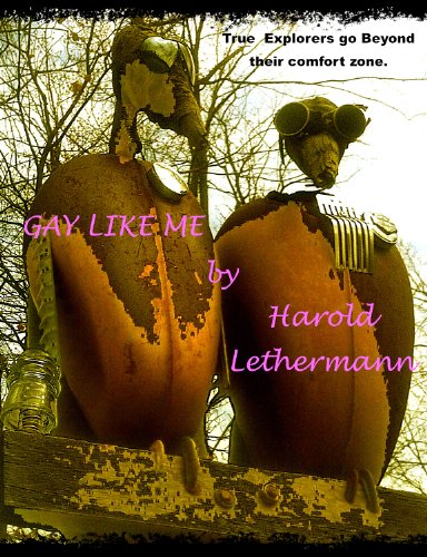 Gay Like Me: One Man's Attempt to Step Into Another's Shoes