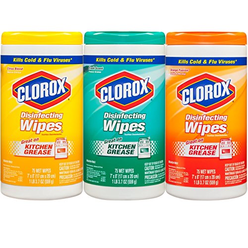 Clorox Disinfecting Wipes Value Pack, 75 Count Each, Pack of 3 (Package May Vary)
