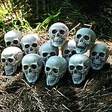 Bag of Realistic Bulk Skeleton Skulls (12 Pack) 5 Inch Human Skulls Halloween Decorations, Bar and Table Halloween Decor, Spooky Yard Decor