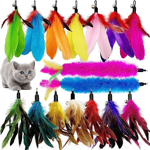 CATENEED Cat Feather Toys Refill, 16 Pieces Cat Wand Replacement Feathers Toy for Indoor Cats