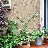 XMRSOY 2 Pack 34Inch Garden Trellis for Climbing Plants, Meatal Heart Shape Plant Support Decorative Plant Trellis Potted Vines Vegetables Flowers Rose Jasmine Pea Clematis Ivy Cucumbers