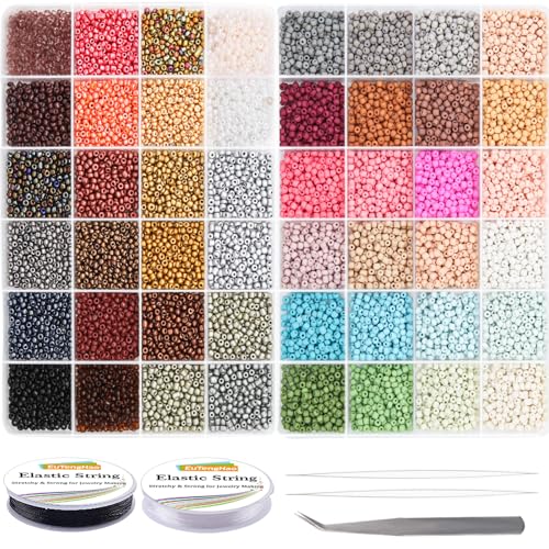 EuTengHao Glass Seed Beads for Bracelet Making Kit, 8/0 Small Pony Beads for Bracelet Necklace Jewelry Making DIY Crafting (3mm, 48 Colors, Frosted Glass and Lacquered)