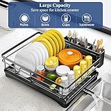 Dish Drying Rack for Kitchen Counter - Large Dish Rack with Drainboard, Rustproof Dish Drainer with Utensil Holder for Sink, Black