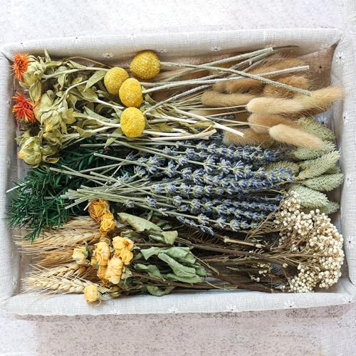 DIY Natural Dried Flower Set, Bulk Dried Flowers, Dried Flowers with Stems, Handmade Dried Flowers Ideas, DIY Flower Set, Dried Flower Bouquets, Table Centerpiece Mini Dried Flowers (Brown)