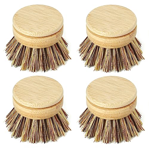 Jungle Culture Firm Bristle Replacement Brush Heads for Eco Dish Brushes • Wooden Kitchen Washing Up Brush Heads Pack of 4 • Interchangeable Bristle Refills • Dish Scrubbers • Zero Waste Cleaning