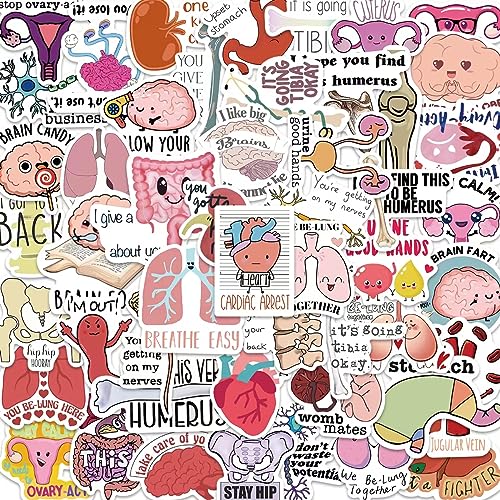 Anatomy Pun Stickers,Funny Anatomy Stickers,Water Bottle Laptop Scrapbooking Decals(50 Pack)