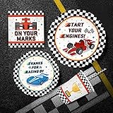 Racing Car Party Supplies Decorations, Checked Race Car Theme Birthday Paper Plates and Napkins Set with Cups and Straws for 24 Guests, 120 Pcs Disposable Party Dessert Dinnerwares