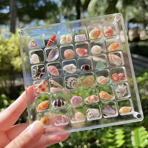 KYWYOYOU Acrylic Magnetic Seashell Display Box, Magnetic Seashell Display Box, Transparent Seashell Storage, 36 Grids Seashell Storage Box for Seashell Diamond Beads.