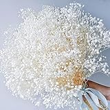 Dried Baby's Breath Flowers Bouquet - 3500+ Pure White Dry Flowers Bulk, 17'' Real 100% Natural Gypsophila Branches for Wedding, DIY Home Party Table Vase Decor, Wreath Floral