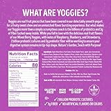 Nature's Garden Probiotic Mixed Berry Yoggies 12 x 0.7oz (Pack of 4) Yogurt Covered Fruit Snacks, High Fiber, Real Fruit Pieces, Office Snack Variety Packs For Adults, No Artificial Ingredients, Gluten Free