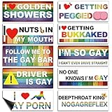 Frienda 10 Pcs Bumper Decals Funny LGBT Stickers Rainbow Bumper Prank Car Stickers Colorful Car Accessories for Truck Vehicle Luggage Window Refrigerator(Magnetic,Classic Style)
