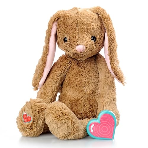 MBHB Digital Voice Recorder Stuffed Animal w/20 Second Recorder, Capture Baby's Heartbeat During Pregnancy + Ultrasound for Baby Showers, Registry, Birthdays, New Mom Gift, Bunny