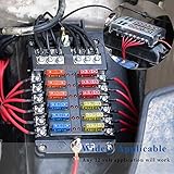 WUPP Boat Marine Fuse Block Panel with LED Warning Indicator Damp-Proof Cover - 12 Circuits with Negative Bus Fuse Box Holder Screw for Car Marine RV Truck DC 12-24V, Fuses Included