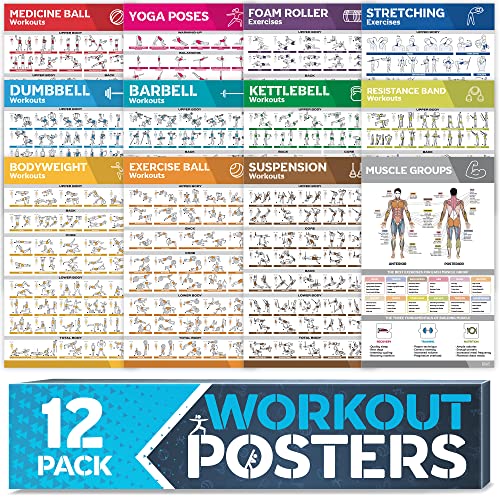 [12-PACK] Laminated Large Workout Poster Set - Perfect Workout Posters for Home Gym - Exercise Charts Incl. Dumbbell, Yoga Poses, Resistance Band, Kettlebell, Stretching & More Fitness Gym Posters