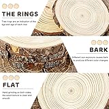 FSWCCK 6 Pack Nature Unfinished Round Wood Slices, 7-8 Inches Wooden Circle, Large Wood Slabs for Weddings Centerpieces Decor and DIY Painting Crafts