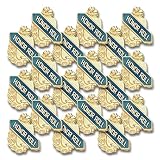 SHOP AWARDS AND GIFTS 5/8 Inch Gold Honor Roll Lapel Pin for Student Recognition, Appreciation, School Teacher Reward, Enameled with Torch and Wreath, Package of 18, Poly Bagged