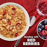 Kellogg's Special K Breakfast Cereal, Family Breakfast, Fiber Cereal, Giant Size, Red Berries, 19.2oz Box (1 Box)