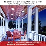 Sengled Motion Sensor Flood Light Bulbs, Dusk to Dawn LED Security Light E26 Base PAR38 Motion Activated 5000K Daylight,1500LM, Waterproof for indoor-outdoor, 2 Pack 4th Gen