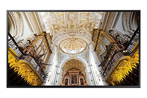 Samsung 43" LED Display