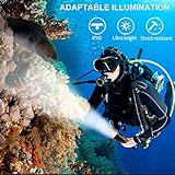 Wurkkos DL30 Dive Light Scuba Diving - Dive Flashlight Super Bright Max 3600 Lumen with 5000K 90CRI 100m Underwater Flashlight for Diving IPX-8 Waterproof Submersible Flashlight with USB Charger