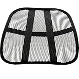 Fellowes Office Suites Mesh Back Support (8036501)