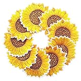 Qingxi Charm 20pcs Yellow Sunflower Sewing on/Iron on Embroidered Patches Clothes Dress Hat Pants Shoes Curtain Sewing Decorating DIY Craft Embarrassment Applique Patches(Yellow Sunflower 20pcs)