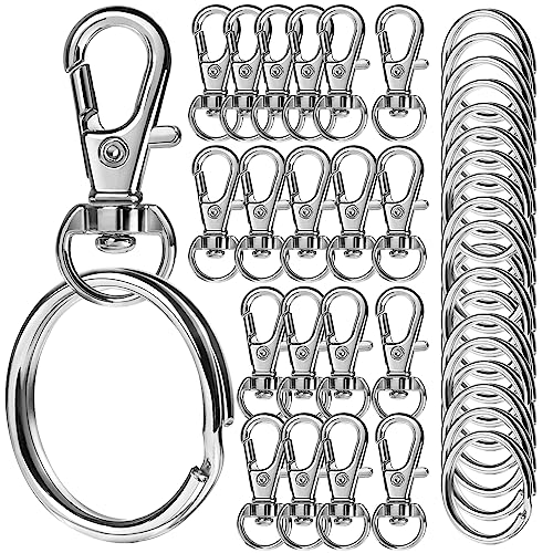 LEOBRO 100PCS Keychain Clip and Key Ring, Lobster Claw Clasps, Keychains, Key Chain Rings and Key Chain Hooks, Metal Keyrings, Keychain Kit for Crafts