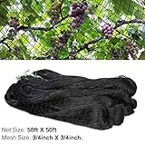 OGORI 50' x 50' Bird Netting Heavy Duty Nylon 3/4" Mesh Garden Netting Protect Fruit Trees, Plants and Vegetables