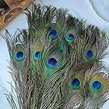 THARAHT 24pcs Peacock Feathers Natural Long in Bulk 30-32 inch(75-80 cm) for Floral Arrangements DIY Craft, Wedding Home Party Holiday Decoration Peacock Feathers