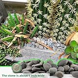 7LB River Rocks Mexican Beach Pebbles for Garden Landscape Plants Paving Grey (1Inch)