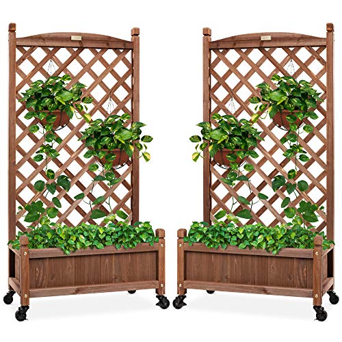 Best Choice Products Set of 2 48in Wood Planter Box & Diamond Lattice Trellis, Mobile Outdoor Raised Garden Bed for Climbing Plants w/Drainage Holes, Optional Wheels - Walnut
