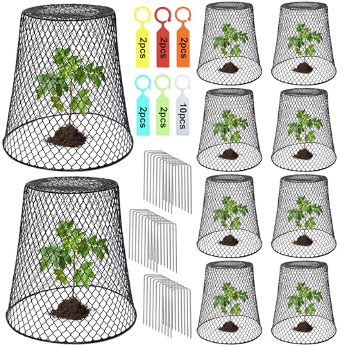 Dukelai 10 Pcs Chicken Wire Cloche Plant Covers Garden Netting Metal Heavy Duty Plant Protectors from Animals for Keeping Bunnies Chicken Squirrels Birds Other Out 9.13×9.13 in