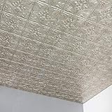 FASÄDE Traditional Style/Pattern 2 Decorative Vinyl 2ft x 4ft Glue Up Ceiling Panel in Vintage Metal (5 Pack)