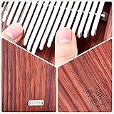 LingTing Kalimba 17 keys Thumb Piano Mbira Finger Piano Gift for Kids Adult Beginners Professional（LT-K17A,wind whisperer)