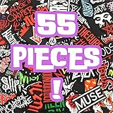 55PCS Rock Band Patches Iron On Punk Patches Heavy Metal Patches for Jackets Embroidery Music Hippie Badges Clothes Stickers DIY Appliques Sewing Stripes (E-New)